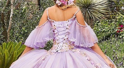 Stunning Tulle Appliques Ball Gown Princess Dress - Curvevia