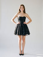 Black Lace A-Line Straight Neck Back Zip Short Dress with Sequins - Curvevia