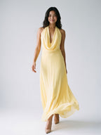 Daffodil Chiffon Column Halter Neckline Backless Ankle-Length Evening Dress - Curvevia