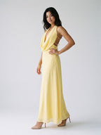 Daffodil Chiffon Column Halter Neckline Backless Ankle-Length Evening Dress - Curvevia