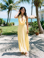 Daffodil Chiffon Column Halter Neckline Backless Ankle-Length Evening Dress - Curvevia