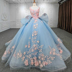 Quinceanera Sky Blue Flower Ball Gown Dress - Curvevia