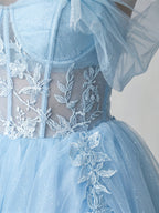 Sky Blue Tulle A-Line Off-the-Shoulder Criss-Cross Straps Short Homecoming Dress with Floral Trim - Curvevia