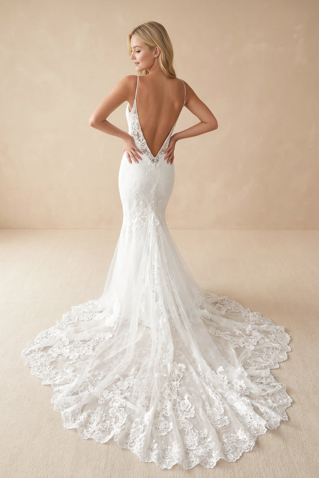 Spaghetti-Straps Backless Mermaid Lace Wedding Dresses with Appliques - Curvevia