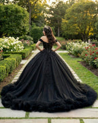 Ball Gown Tulle Off the Shoulder Quinceanera Prom Dress - Curvevia