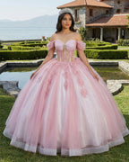 Ball-Gown Pink Off-the-Shoulder Quinceanera Dresses - Curvevia