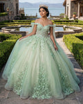 Ball Gown Tulle Off The Shoulder Sage Green Quinceanera Dress - Curvevia