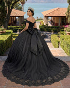 Lace Tulle Sage Applique Off Shoulder Quinceanera Dresses - Curvevia