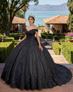 Lace Tulle Sage Applique Off Shoulder Quinceanera Dresses - Curvevia