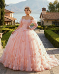 Blush Ball Gown Long Sleeves Off The Shoulder Quinceanera Dresses - Curvevia