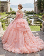 Blush Ball Gown Long Sleeves Off The Shoulder Quinceanera Dresses - Curvevia