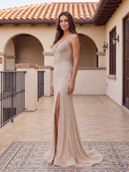 Sand Tulle Sheath V-Neck Lace-up Floor-Length Dress with Sheer Beaded Corset and Slit - Curvevia