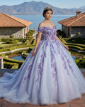 Quinceanera Dress Charming Off-the-shoulder Prom Dresses Appliques Lace Up Ball Gown with Sequins - Curvevia