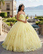Ball Gown Lace Sweetheart Yellow Quinceanera Dress - Curvevia