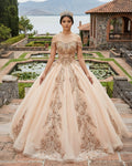 Classic Organza with Embroidery Cap Sleeve Sequined Quinceanera Dresses - Curvevia