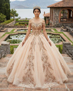 Classic Organza with Embroidery Cap Sleeve Sequined Quinceanera Dresses - Curvevia
