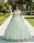 Elegant 3D Flowery Sage Green Tulle Fairy Ball Gown - Curvevia