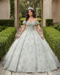 Quinceanera Dress Elegant Grey Quinceanera Dresses Sweetheart Sleeveless Ball Gown Party Dresses - Curvevia