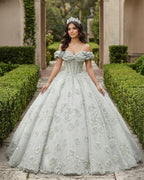 Quinceanera Dress Elegant Grey Quinceanera Dresses Sweetheart Sleeveless Ball Gown Party Dresses - Curvevia