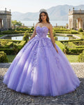Quinceanera Dress Party Princess Pearls Strapless Evening Gown Appliques - Curvevia