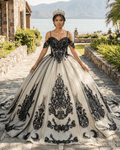 Soraya |  Spaghetti Straps Embroidery Lace Quinceanera Dresses - Curvevia