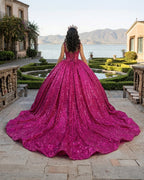 Fuchsia Sleeveless Sequin Quinceanera Dress - Curvevia