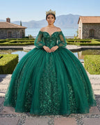 Dark Green Ball Gown Organza Half Sleeves Quinceanera Dress - Curvevia