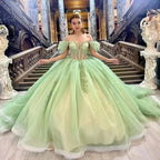 Sage Green Off Shoulder Beading Floral Appliqué Quinceanera Dress - Curvevia