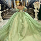 Sage Green Off Shoulder Beading Floral Appliqué Quinceanera Dress - Curvevia