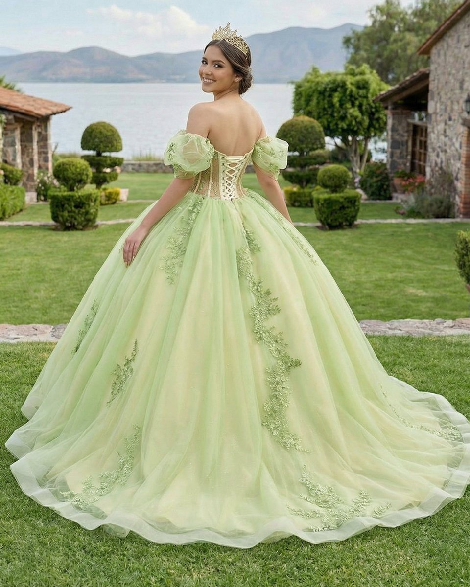 Sage Green Off Shoulder Beading Floral Appliqué Quinceanera Dress - Curvevia