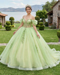 Sage Green Off Shoulder Beading Floral Appliqué Quinceanera Dress - Curvevia