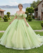 Sage Green Off Shoulder Beading Floral Appliqué Quinceanera Dress - Curvevia