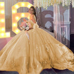Gold Off Shoulder Tulle Quinceanera Dresses With Lace Appliques - Curvevia