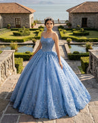 Gorgeous Blue Sleeveless Strapless Ball Gown Quinceanera Dresses - Curvevia