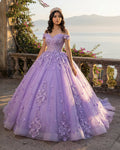Lace Sky Blue Off the Shoulder Ball Gown Quinceanera Dresses - Curvevia
