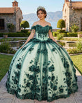 Green Ball Gown Off The Shoulder 3D Flowers Beads Applique Quinceanera Dresses - Curvevia