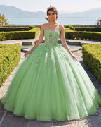 Sky Blue Ball-Gown Tulle 3D Flowers Sweetheart Quinceanera Dresses - Curvevia