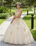 Quinceanera Dress Ivory Ball Gown Sweetheart Appliques Beading Prom Dresses - Curvevia