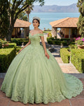Lace Tulle Sage Applique Off Shoulder Quinceanera Dresses - Curvevia