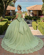 Lace Tulle Sage Applique Off Shoulder Quinceanera Dresses - Curvevia