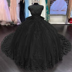 Lace Tulle Sage Applique Off Shoulder Quinceanera Dresses - Curvevia