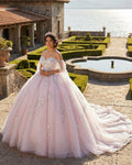 Light Pink Ball Gown Appliqued Quinceañera Dresses - Curvevia
