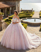 Light Pink Ball Gown Appliqued Quinceañera Dresses - Curvevia