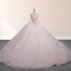 Light Pink Ball Gown Appliqued Quinceañera Dresses - Curvevia