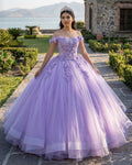 Lilac Tulle Appliques Quinceanera Ball Gown Dress - Curvevia