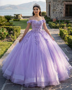 Lilac Tulle Appliques Quinceanera Ball Gown Dress - Curvevia
