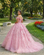 A Line Appliques Off the Shoulder Sweet Quinceanera Dresses with Beading - Curvevia