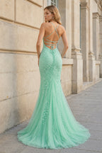 Mermaid Spaghetti Straps Lace Evening Dress - Curvevia