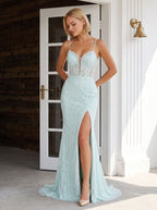 Mint Green Tulle Mermaid Sweetheart Backless Floor-Length Dress with Lace Applique - Curvevia