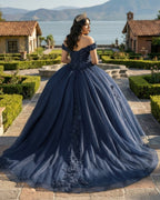 Navy Blue Organza Off The Shoulder Ball Gown Quinceanera Dress - Curvevia